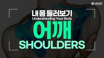 어깨 [내 몸 둘러보기]