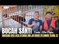 BOCAH SAKTI BINTANG NYA SESI UTAMA MURAI JUNIOR ZAGUAR ARENA || ROAD TO ANNIVERSARY TEAM 21 GARUT