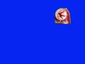 Toyor Al Janah Blue Screen 