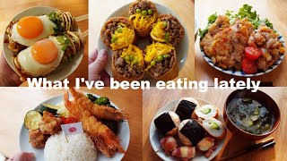What I’ve been eating at home latelyJapanese
