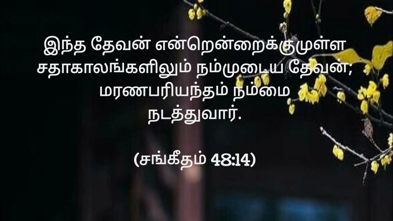 DAILY HOLY BREAD (LOAVES NO154) TAMIL MALAYALAM ENGLISH YouTube