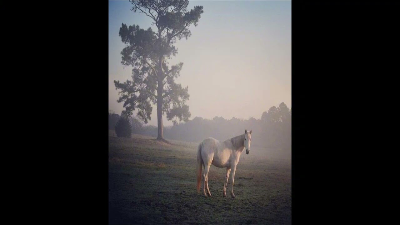 (free) Yeat x Kanye West x ADL type beat 