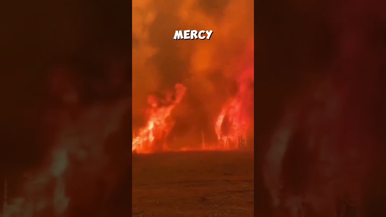 California Fires: Heroes vs. Nature's Fury | LA Wildfire Highlights 🔥🌄