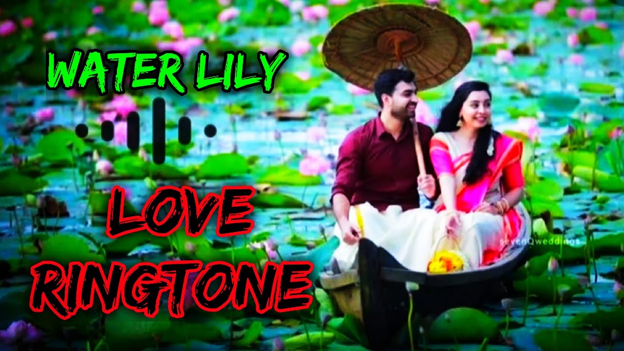 Lovely Ringtone//Water lily & Lotus //short video YouTube