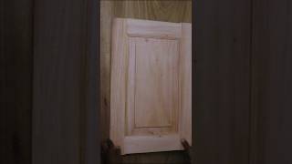 Flawless Door Finish in Minutes (Hidden Panel Trick!)#woodworkinghack #cleanfinish #diycarpentry