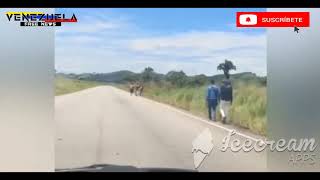  La Impresionante Caravana Del Hambre En Venezuela 2020