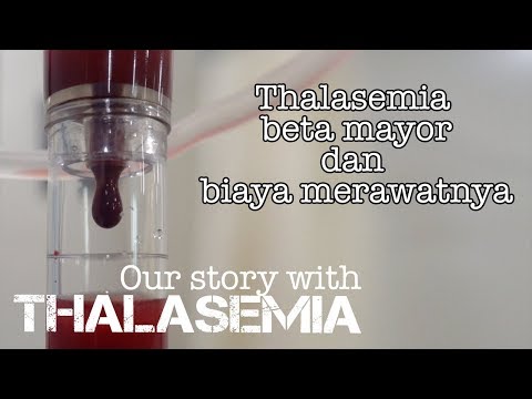 Video: Apakah simptom seseorang yang menghidap talasemia beta?
