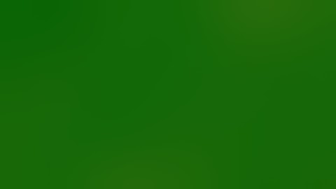 How to crash ANY Garry