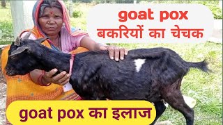 goat pox/बकरियों का चेचक/ symptom and treatment