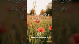 Download Lagu Surah Al-Fath | Verse 18 | Abdul Rahman Mossad #quran #ayah #recitation MP3 Download Lagu Surah Al-Fath | Verse 18 | Abdul Rahman Mossad #quran #ayah #recitation MP3