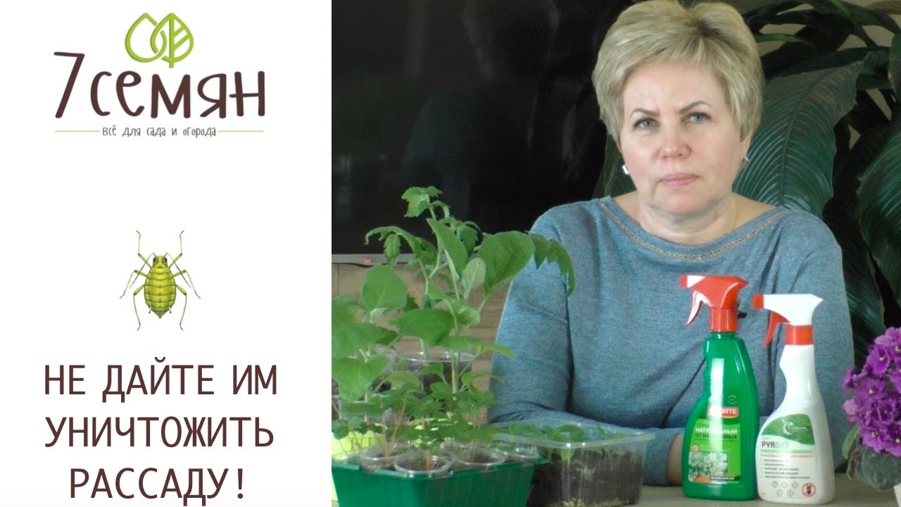 Как защитить огород от вредителей