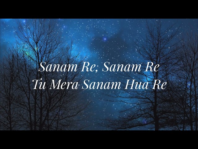 SANAM RE (Lyrical Video)| Pulkit Samrat, Yami Gautam, Urvashi Rautela | Divya Khosla Kumar class=