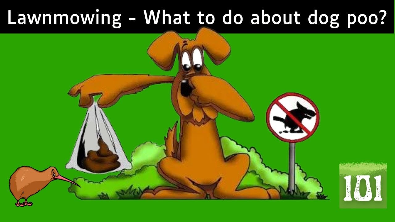 what-happens-if-you-mow-over-dog-poop