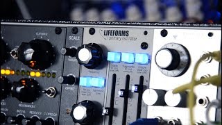 Pittsburgh Modular Synthesizers-Lifeforms Primary Oscillator unboxing and first sound