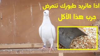 افضل اكل للحمام/الوقايه خيراً من العلاج