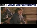 İblis Türk Filmi | Mehmet&#39;i Kuduz Köpek Isırıyor!