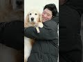大型犬を飼うということは、こういうことです。#ゴールデンレトリーバー #大型犬のいる生活