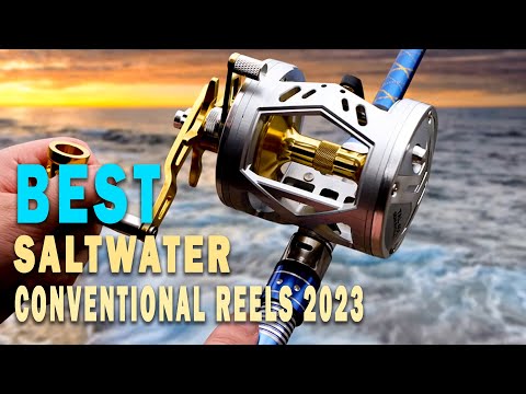 The 9 Best Saltwater Conventional Reels in 2023 Reviewed 