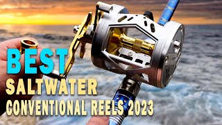 The 9 Best Saltwater Conventional Reels in 2023 Reviewed 