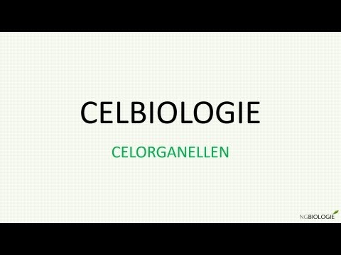 Celbiologie - celorganellen