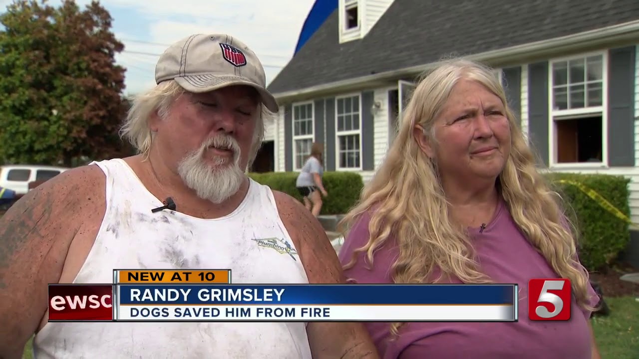 Dog saves family from house fire - YouTube