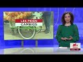 🔴 En Vivo | Arrestan sospechoso con ayuda de perro policía | 11PM | 05.29.26