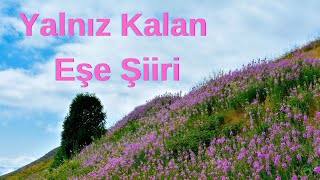 Yalnız Kalan Eşe Şiiri
