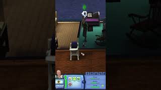 Ive Never Seen A Sim Trip Over Their Own Feet Before?