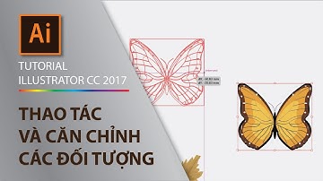 Illustrator Part 1.3 - Cách sử dụng công cụ Selection tool & Direct selection tool