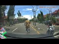 Dash Cam Owners Indonesia #88 February 2020