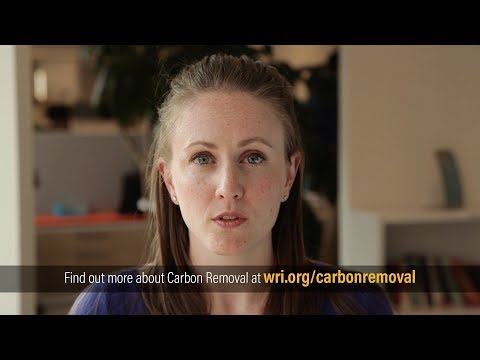 How Does Carbon Removal Work