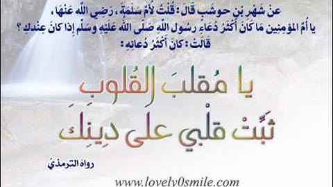 حمزة تاكارلي أوائل سورة القصص
