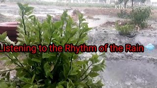 What are your reflection in life when in rains/Rhythm from the rain Lessons