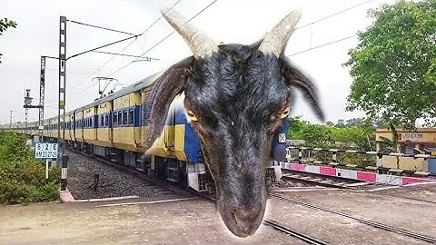 Mad GOAT Is Screaming : GOAT Headed MEMU Dangerous & Furious Skipped at Railgate