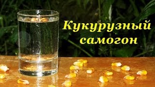 Самогон из кукурузы, основа для бурбона