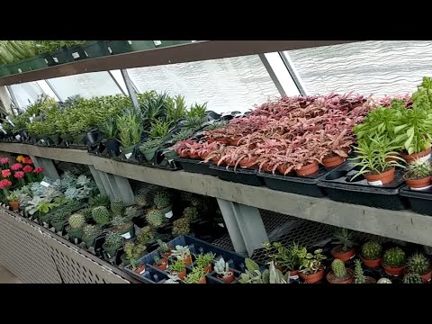 Stein Garden Gifts Tour Livestream Youtube