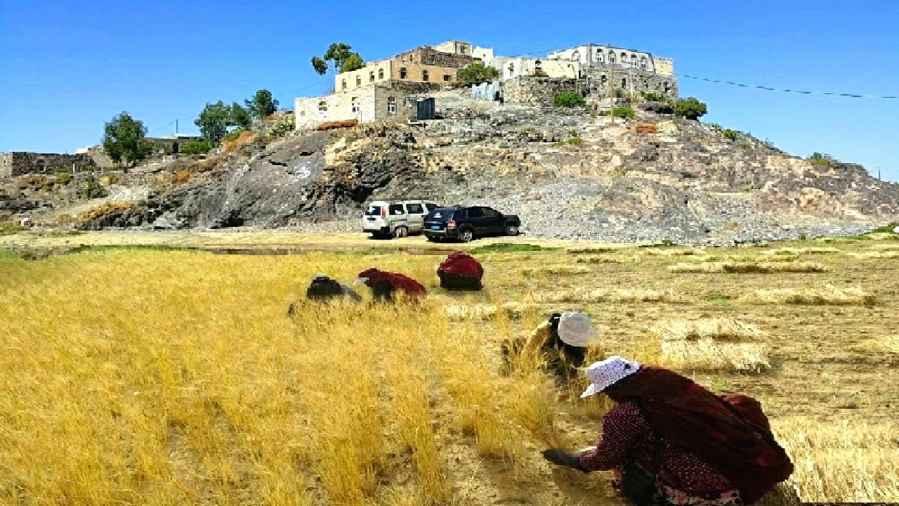 نشيد التراث اليمني - اجمل مناظر الطبيعه رائع