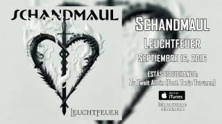 Schandmaul - 16 - Zu Zweit Allein (Feat  Tarja Turunen)