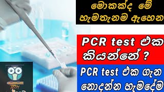 What is PCR test?/#sl chat box#