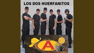 MI Super 45