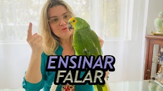 HOW TO MAKE YOUR PARROT TALK? - FUNNIEST TALKING PARROT!