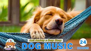 Best 24-Hour Fear Relieving Calming Music for Dogs: Cure Separation Anxiety and Stressed Dogs!