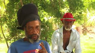 Grandy Nanny Farm, Portland Jamaica.