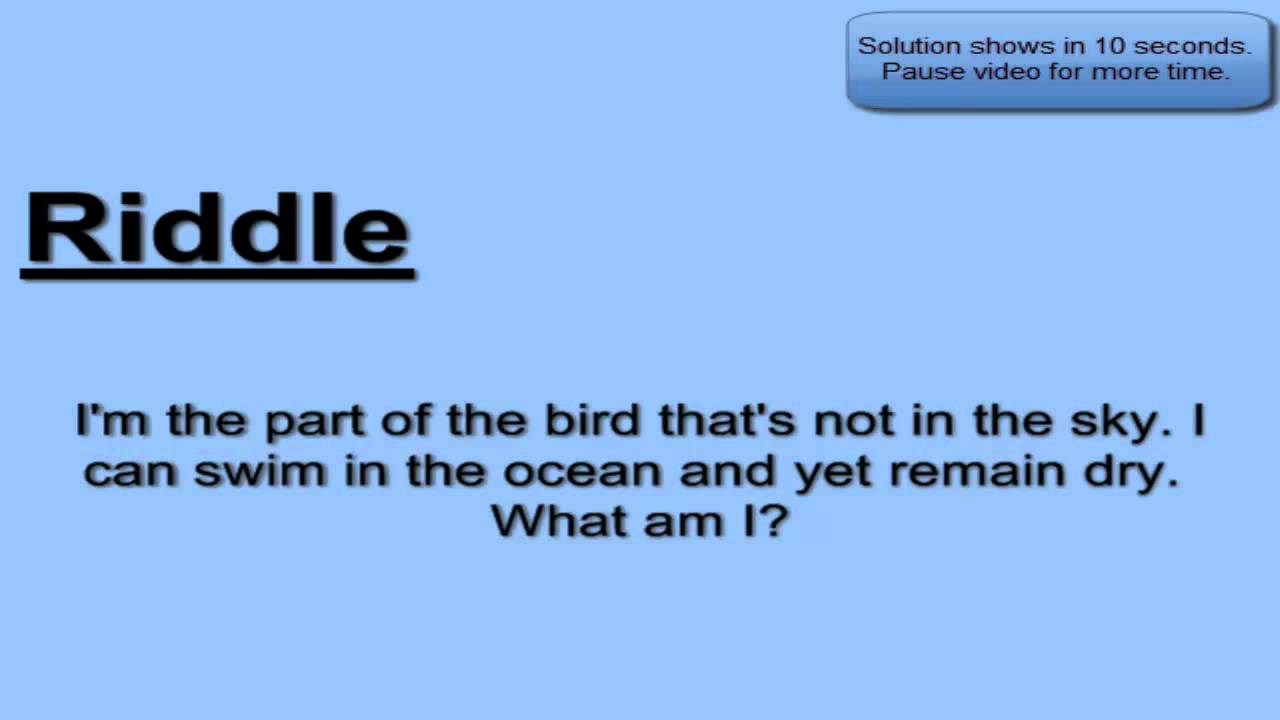 Riddle Challenge 7 Swimming Birds? YouTube
