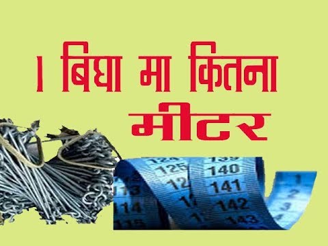 1 बीघा में कितना मीटर 1 How Many Meters In Bigha