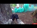 Beginning of video