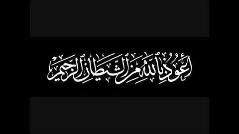 القارئ | يـاسـر الأركـاني