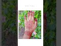 easy back hamd mendi design 🌿✨#bridalmehndi