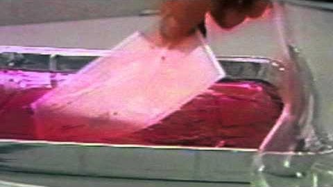 How a $2 Pen Can Help Protect You from Fraud