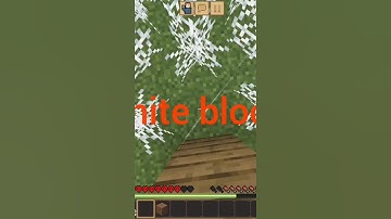 Block test 🫠#shortsvideo #minecraft #subscribe